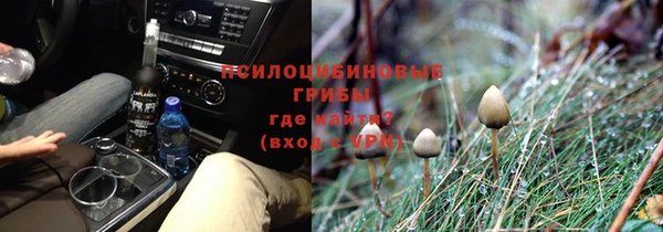 МДПВ Навашино