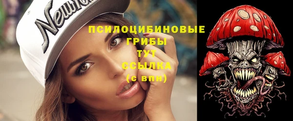 МДПВ Навашино
