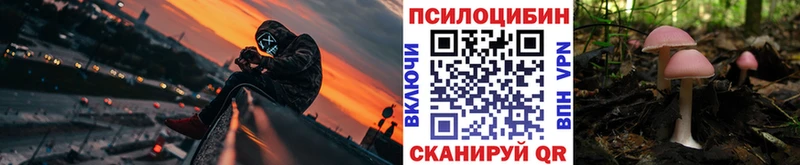 Галлюциногенные грибы ЛСД  дарк нет какой сайт  Шали  цена наркотик 