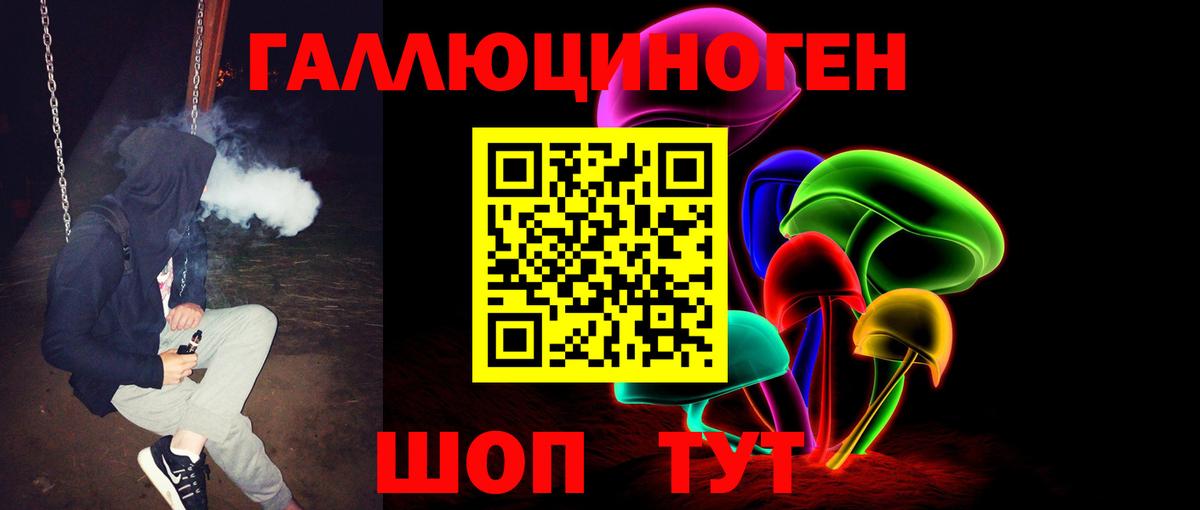 Галлюциногенные грибы Psilocybe  Вход с VPN  Шали 