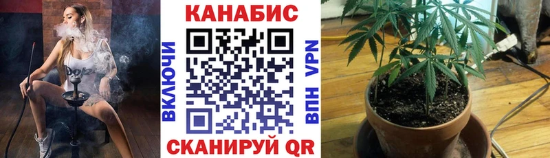 Бошки марихуана AK-47  Шали 
